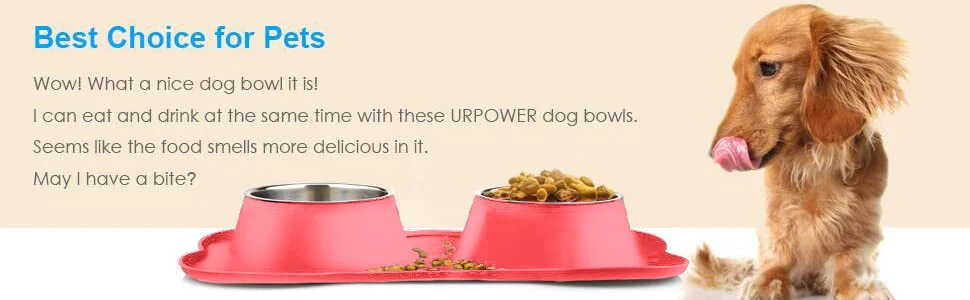 Stainless Steel Double Dog Food and Water Bowl with No-Spill No-Skid Silicone Mat