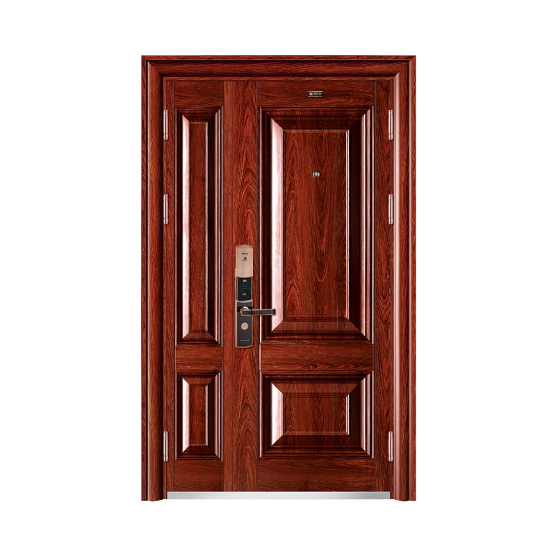 Safety Entry Door Pravesh Steel Doors Custom Steel Door Entrance Compound Security Door Metal Iron