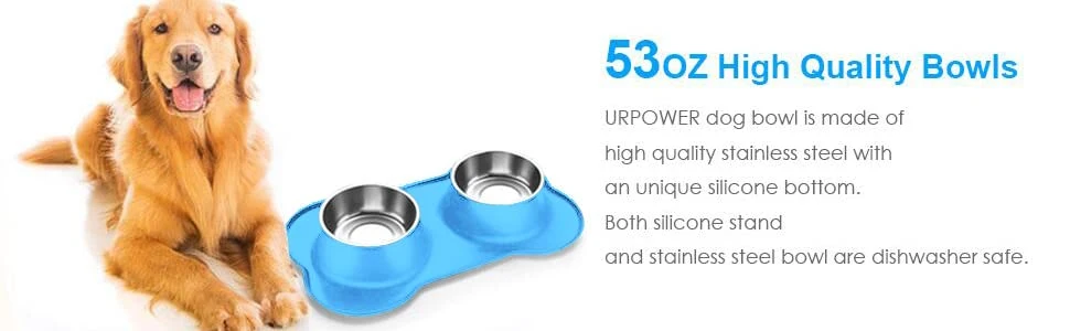 Water Bowls with No-Spill No-Skid Silicone Mat Stainless Steel Double Dog Food Bowl