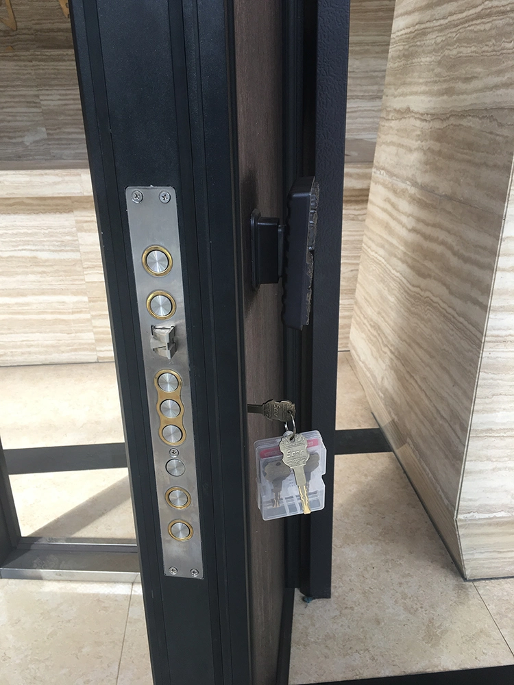 New Design Galvanized Guard Against Theft Bulletproof Steel Door Design Tamil