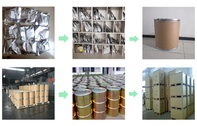 Stainless Steel Powder 316L Stainless Steel Powder 304L Stainless Steel Powder 17-4pH Stainless Steel Powder Source Manufacturer