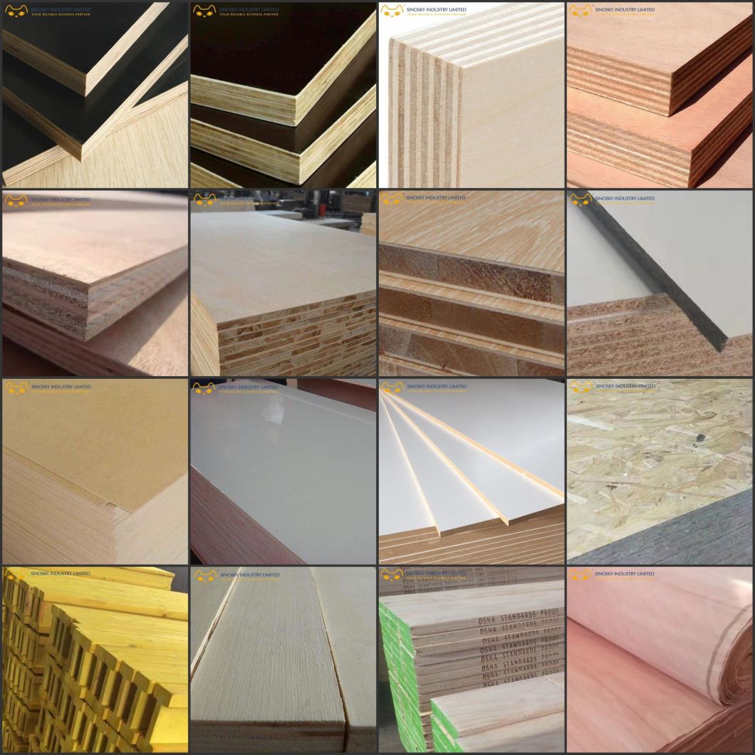 Sinosky Plywood High Quality 18mm Film Faced Plywood/Concrete Formwork Plywood for Construction