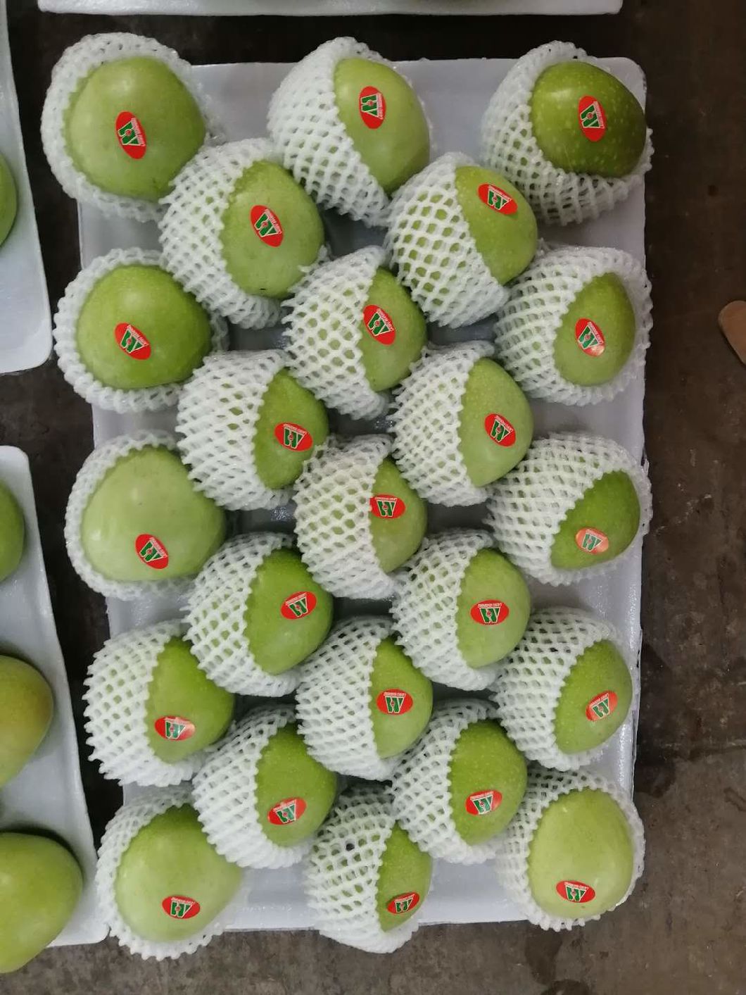 Fresh Apple to Middle East