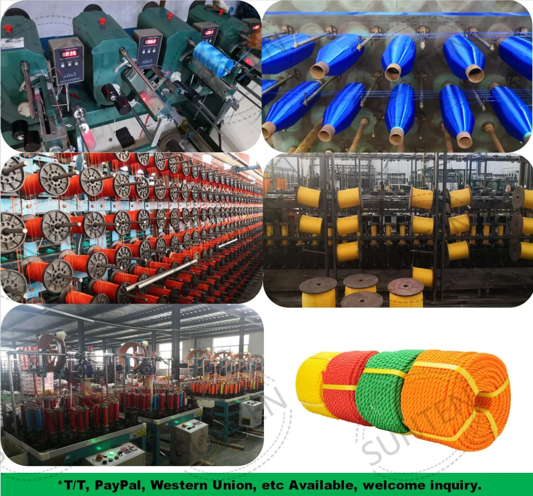 PP/Polypropylene/Plastic/Fishing/Marine/Mooring/Twist/Twisted Danline Rope for Malaysia, Indonesia, Philippines