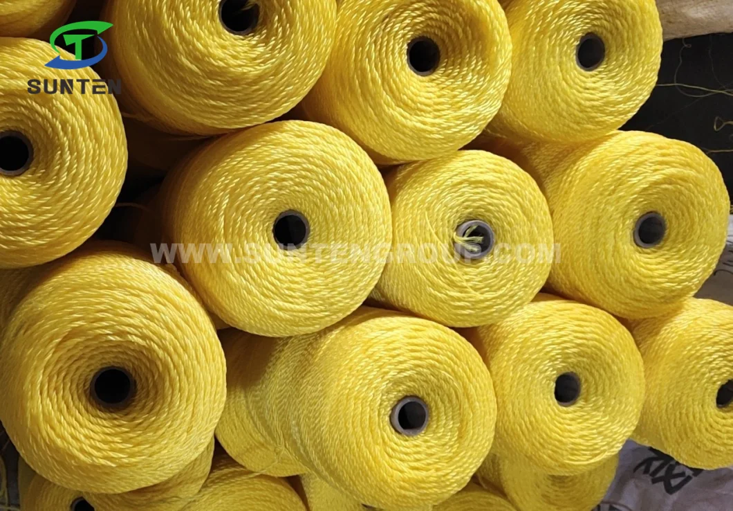 PP/Polypropylene/Plastic/Fishing/Marine/Mooring/Twist/Twisted Danline Rope for Malaysia, Indonesia, Philippines