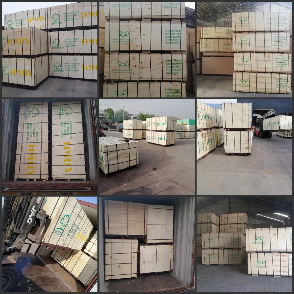 4*8 18mm Film Faced Formwork Plywood for Construction Concrete