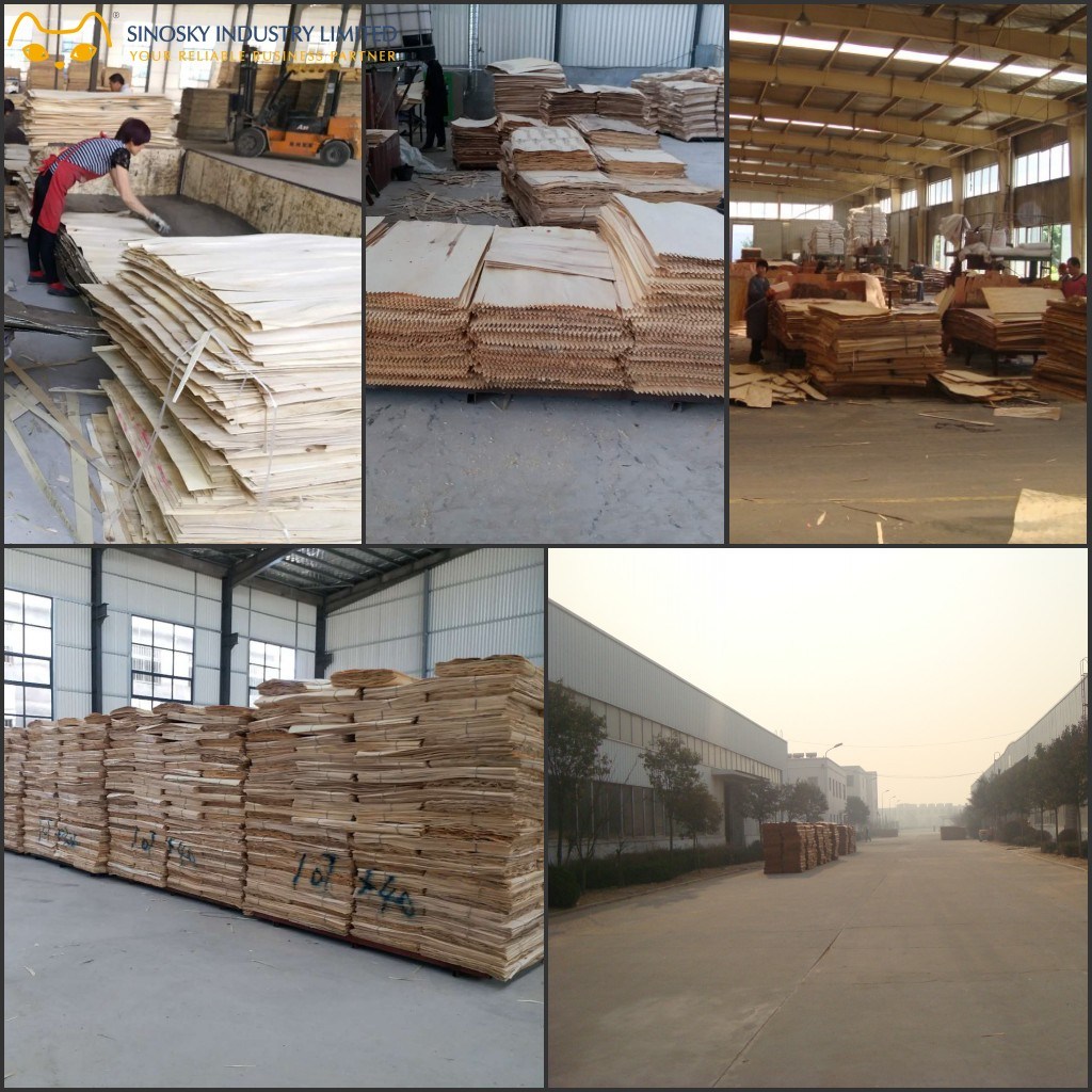 Sinosky Plywood High Quality 18mm Film Faced Plywood/Concrete Formwork Plywood for Construction