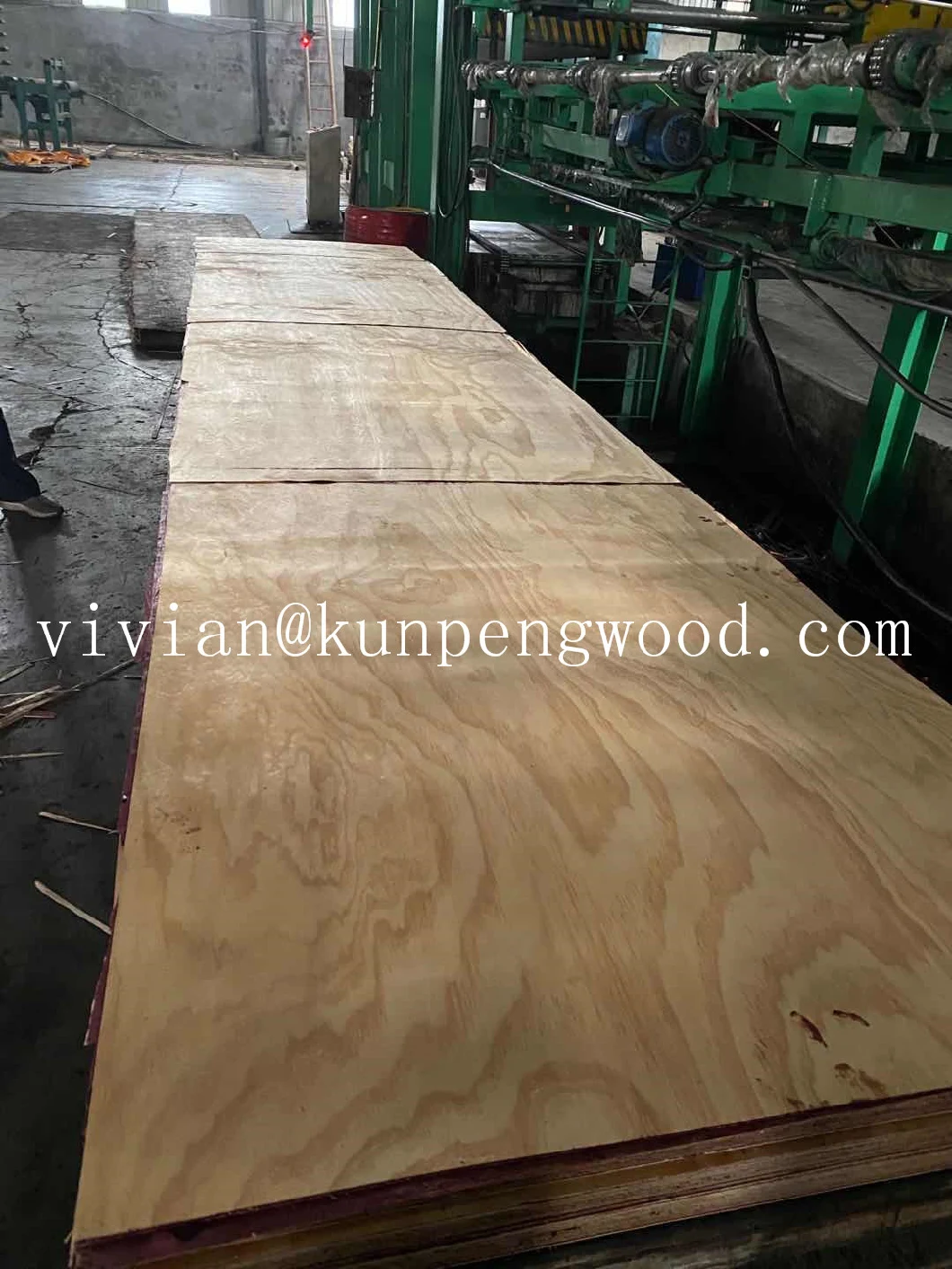 Pine Formwork LVL Timber Beam for Australia