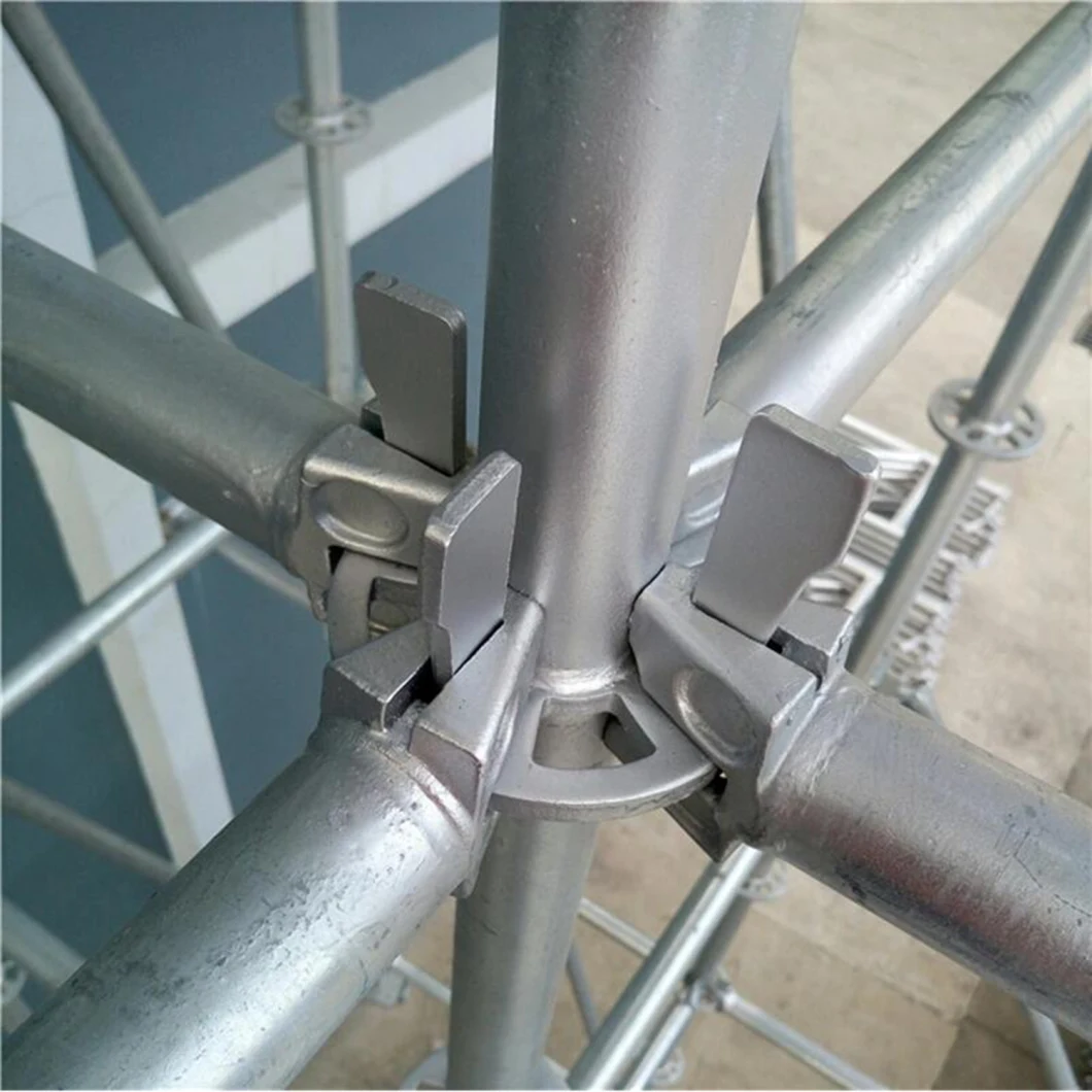 Concrete Formwork Ringlock System Scaffold for Sale