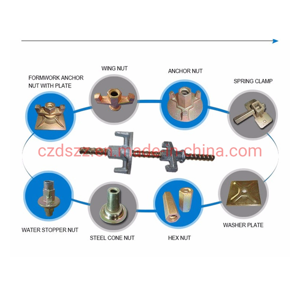 Galvanized Cast Iron Anchor Nut for Concrete Wall Formwork System