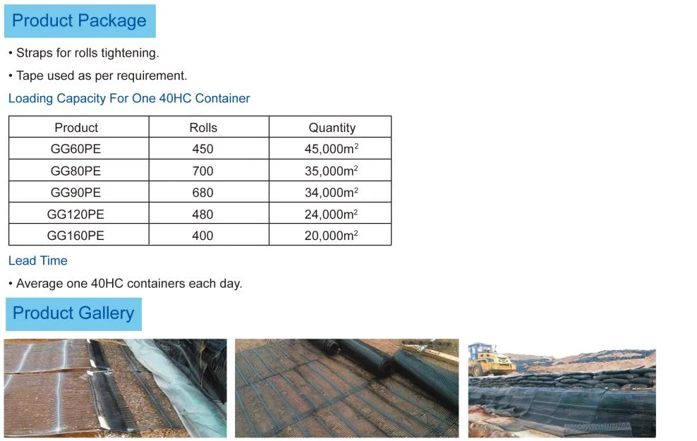 HDPE Uniaxial Geogrid for Retaining Wall, Deck and Steep Slope, Highway, Railway, etc.