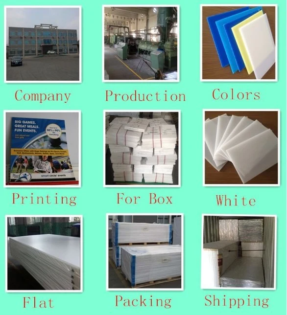 PP Coroplast Sheet / PP Hollow Sheet/ PP Corrugated Sheet for Package and Printing