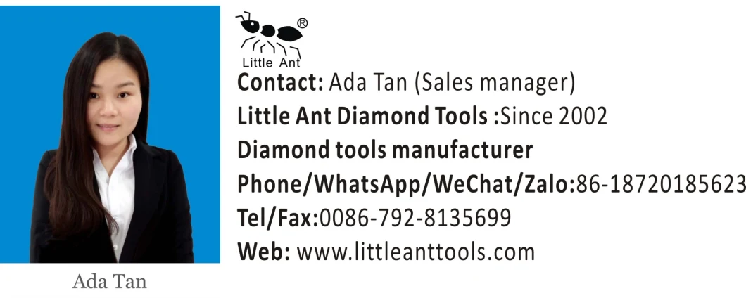 7 Steps Factory Supply Diamond Concrete Polishing Pad