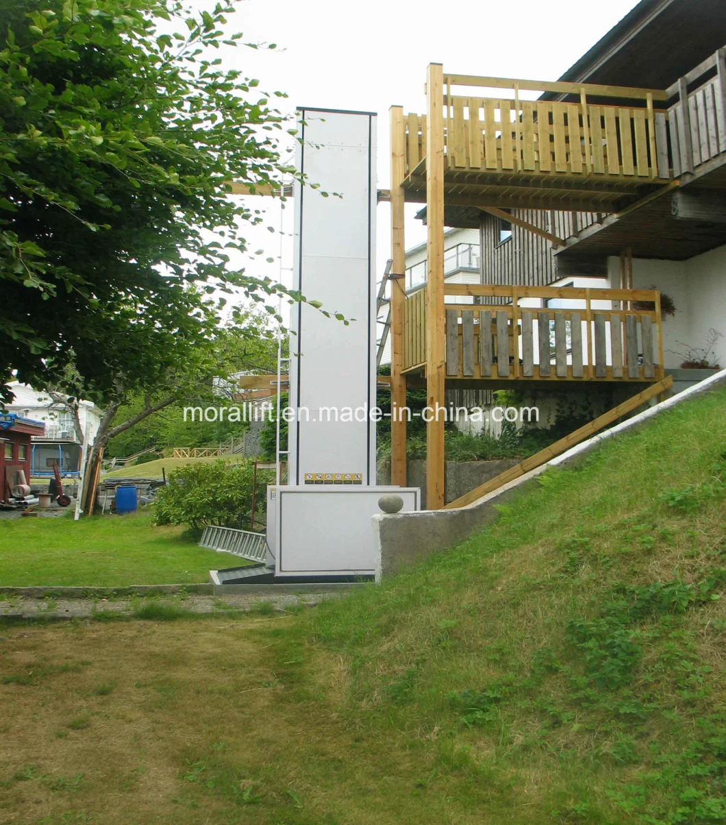 Stair Climbing Used Hydraulic Vertical Wheelchair Lift (VWL)