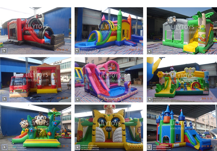Durable Inflatable Jumping Castle/ Inflatable Bouncer Jumping Castle/Bouncer Jumping House with Slide