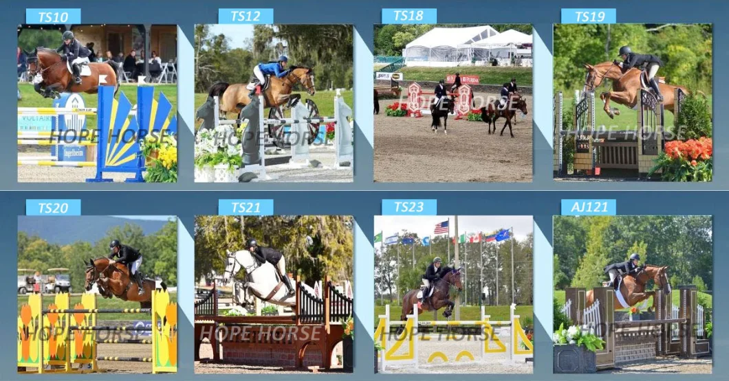 Professional Obstacle Jumping Show Jumping Obstacle Horse Jumping Obstacles