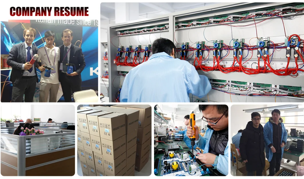 China Factory AC Drives Power Inverters VFD Frequency Inverter Crane Inverter