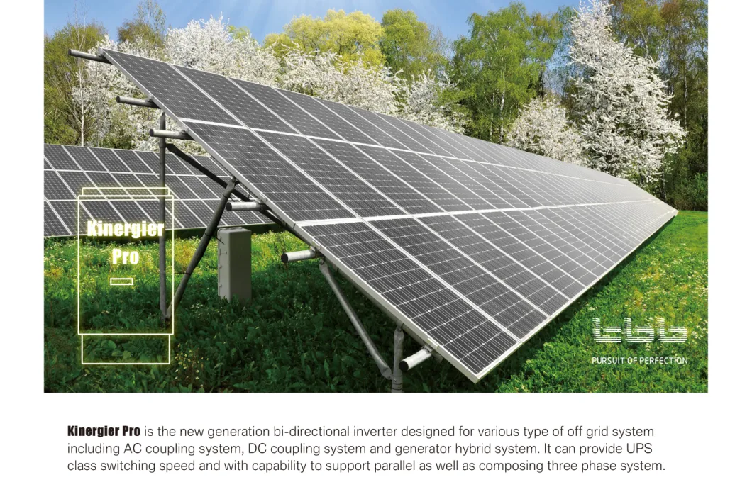 off-Grid Solar Inverter Solar Stand Alone Inverter Solar Compatible Generator
