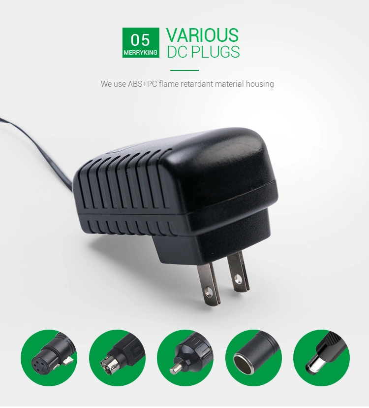 Merryking Factory Price 12V 1A Power Adapter 5V 2A Power Supply 12W AC DC Power Adaptor