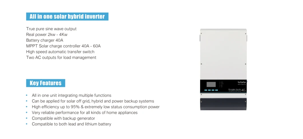 Hybrid Inverter Solar Inverter Chargers with MPPT Charge Controller for Solar Home System