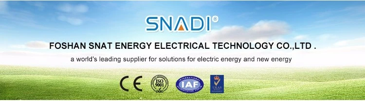 Snadi Solar Energy Inverter off Grid Solar Inverter for Hybrid Solar System Home Power 1kw-6kw