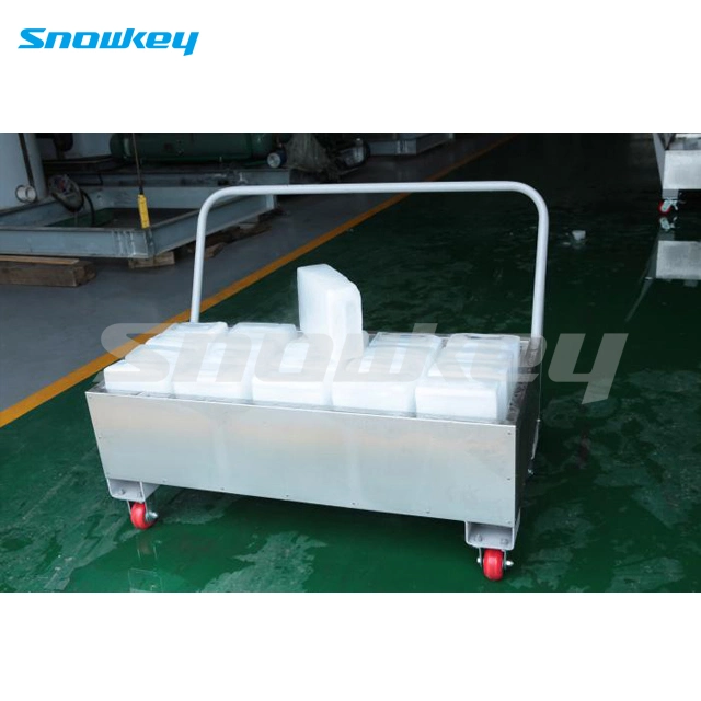 Snowkey Best Quality Block Ice Machine/Ice Maker Machine