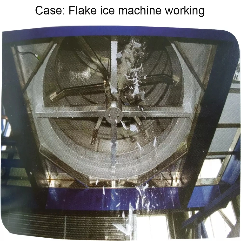 Flake Ice Makers Ice Drum 3ton
