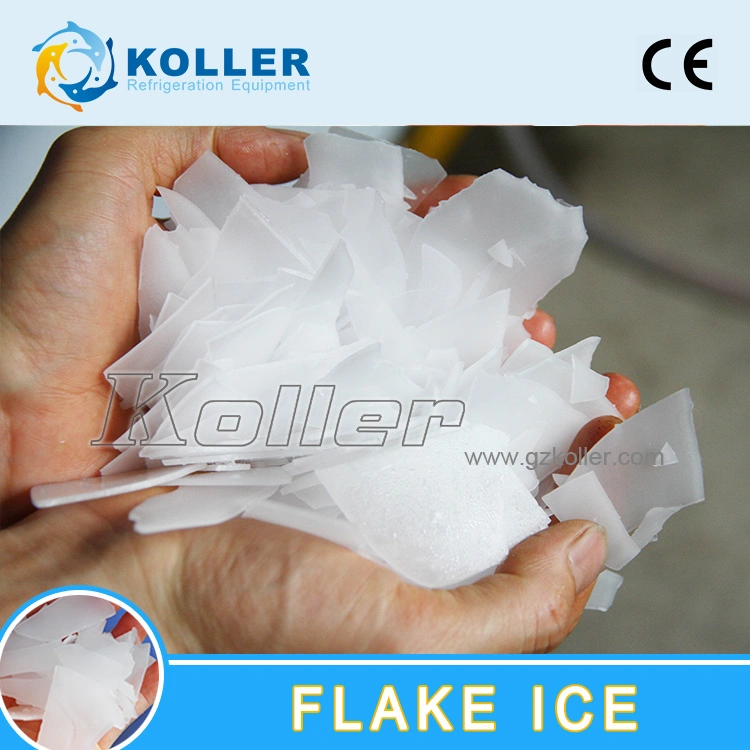 Koller Price List of Flake Ice Machine From 1 to 20 Ton a Day, Big Capacity