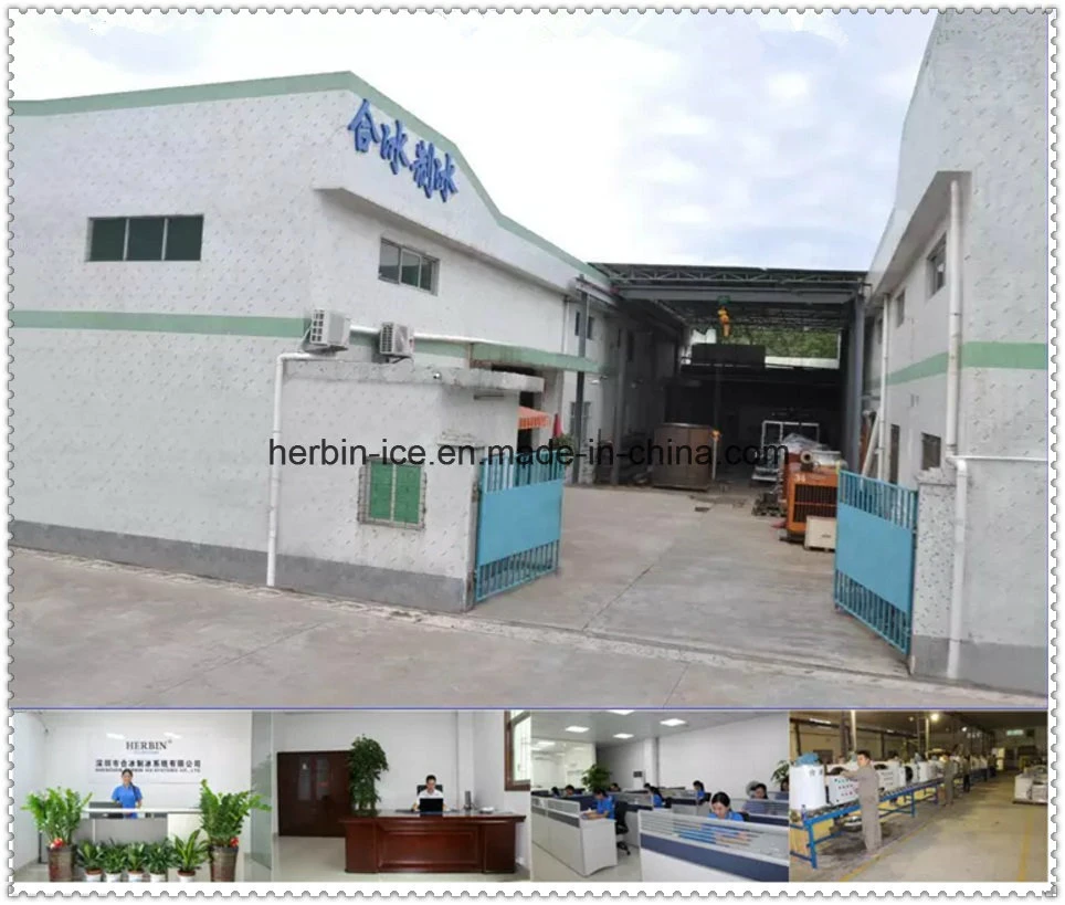 Herbin Factory Price of Flake Ice Maker Machine for Sales with Bitzer Compressor