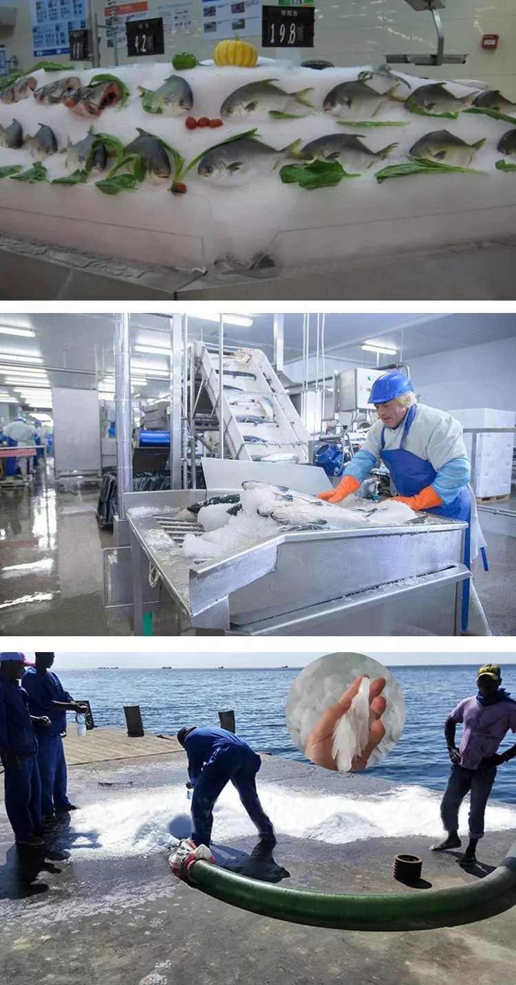 5tons/24hrs Seawater Flake Ice Machine for Fish Freezing and Preservation, , Fishing Vessel, High Quality Ice Machine