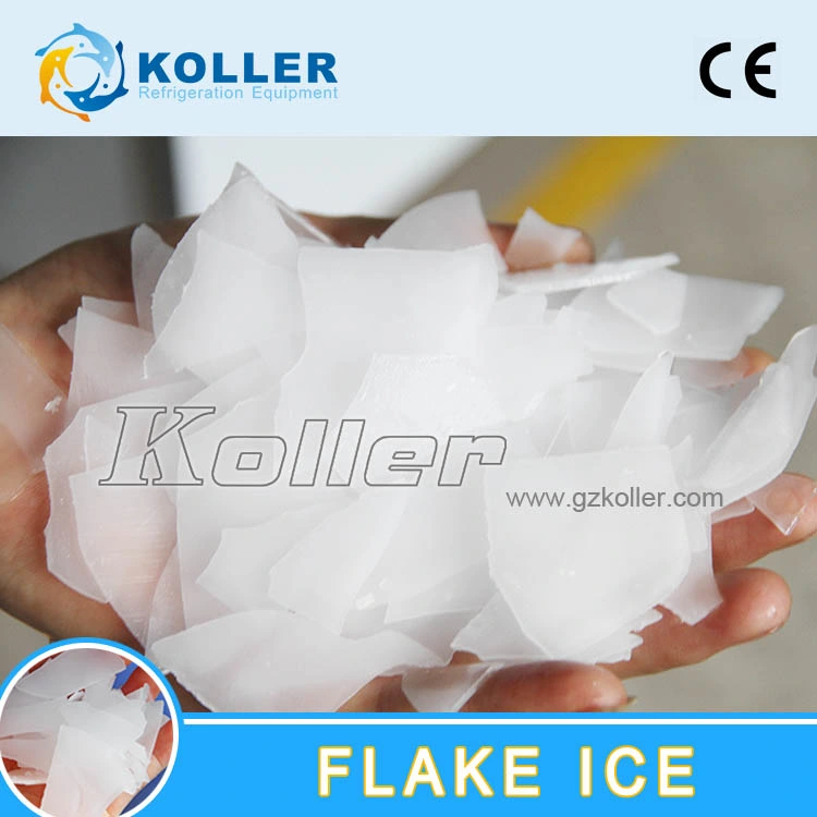 Koller 3 Tons Flake Ice Machine for Fishing Industry Meat Processing
