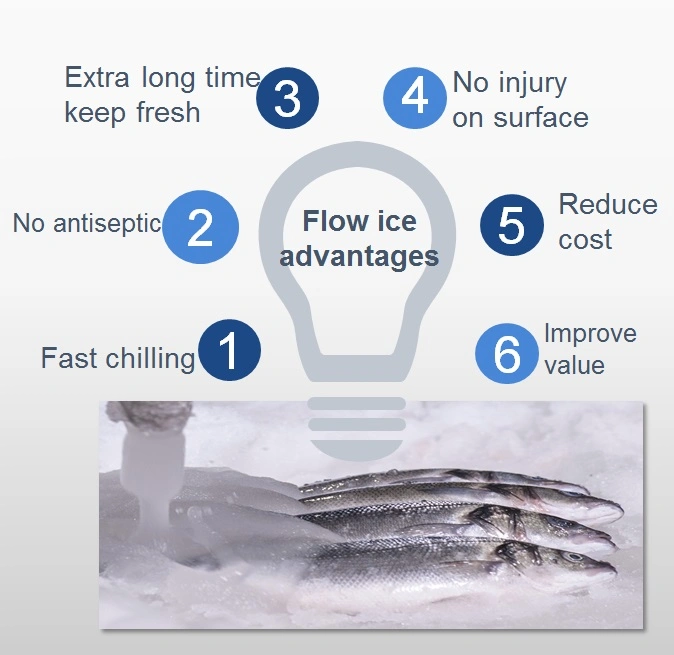 Seawater Ice Make Flake Ice for Fish Slurry Ice Maker Machine Manufacturer