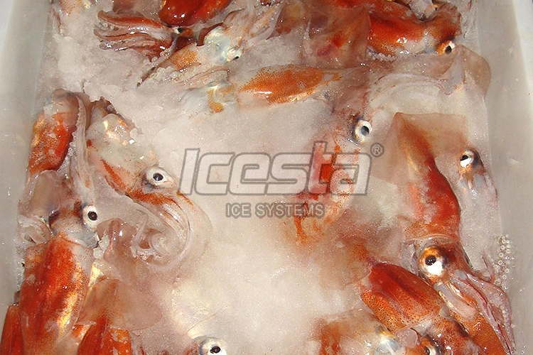 Icesta Liquid Slurry Ice Makers for Seafood Freezing