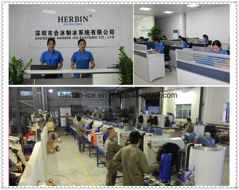Herbin Factory Price of Flake Ice Maker Machine for Sales with Bitzer Compressor