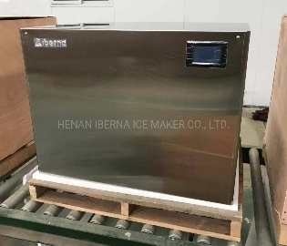 200kgs Split Type Cube Ice Machine for Restaurant Food Processing