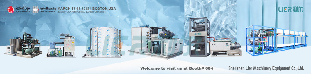 Fishing Ice Industrial Flake Ice Maker Machine 2000kg 2t for Seafood