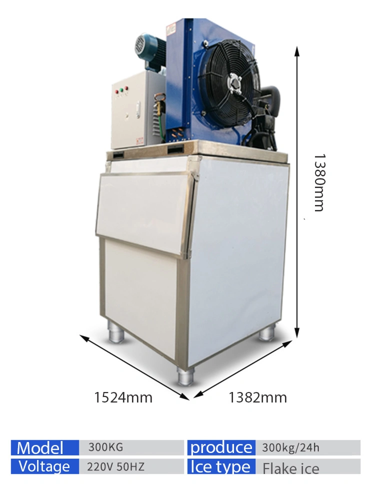 Pbj-200 200kg/24h Ice Flake Machine with Bitzer Compressor