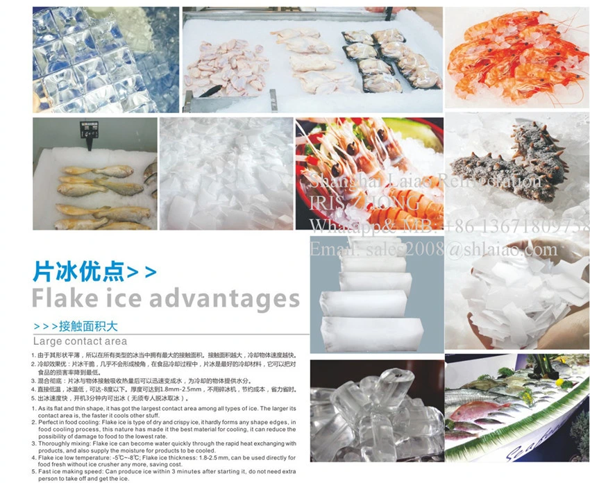Supermarket Flake Ice Maker/Ice Making Machine 0.5ton to 10 Ton