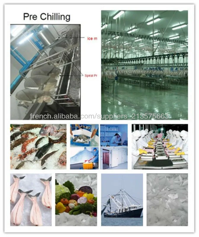 Big Capacity 10ton -30ton Ice Flake Machine for Fishery