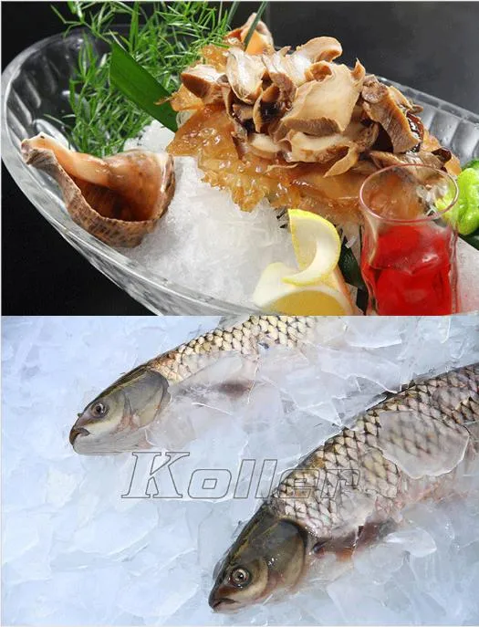 Koller Industrial Plate Ice Machine /Ice Plate Machine for Fishery