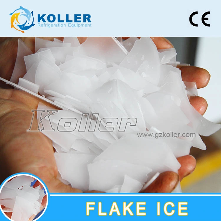 Koller Best Selling 5 Tons Flake Ice Machine for Fishing/Meat Processing