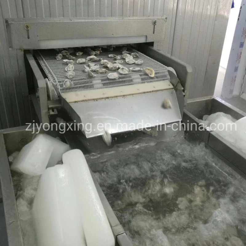 Fish Shrimp Squid Seafood Ice Glazing Machine/Ice Coating Machine with Good Performance