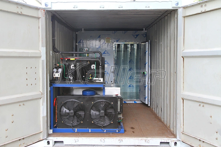 Industrial Containerized Block Ice Machine/ Block Ice Making Plant with Low Price
