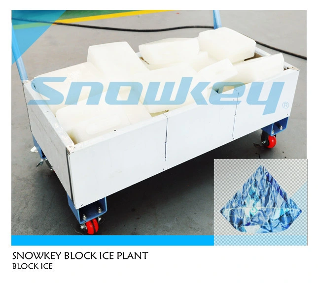 Snowkey Block Ice Machine 1 Ton Ice Block Machine