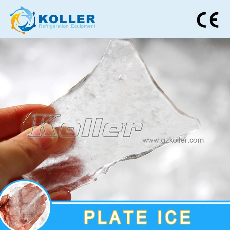Koller Plate Ice Machine for Fishery, Edible Plate Ice, Ice Machine 3tpd