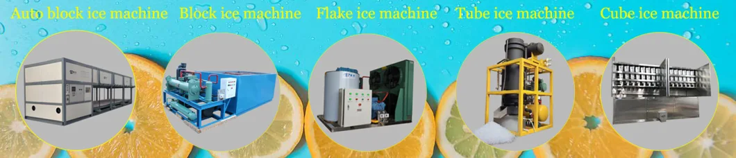 High Quality 20 Tons Flake Ice Machine for Fish Plant Using