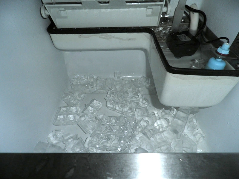 50kg~1000kg Commercial Ice Cube Machine Maker with Dynamic Cooling