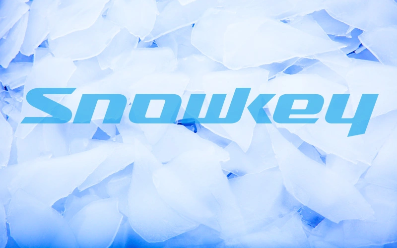 Snowkey China Top 1 Compact Design Flake Ice Machine (1t/day-60t/day) on Land