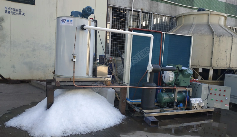 Factory Supply Top Quality 3mt Flake Ice Maker Machine