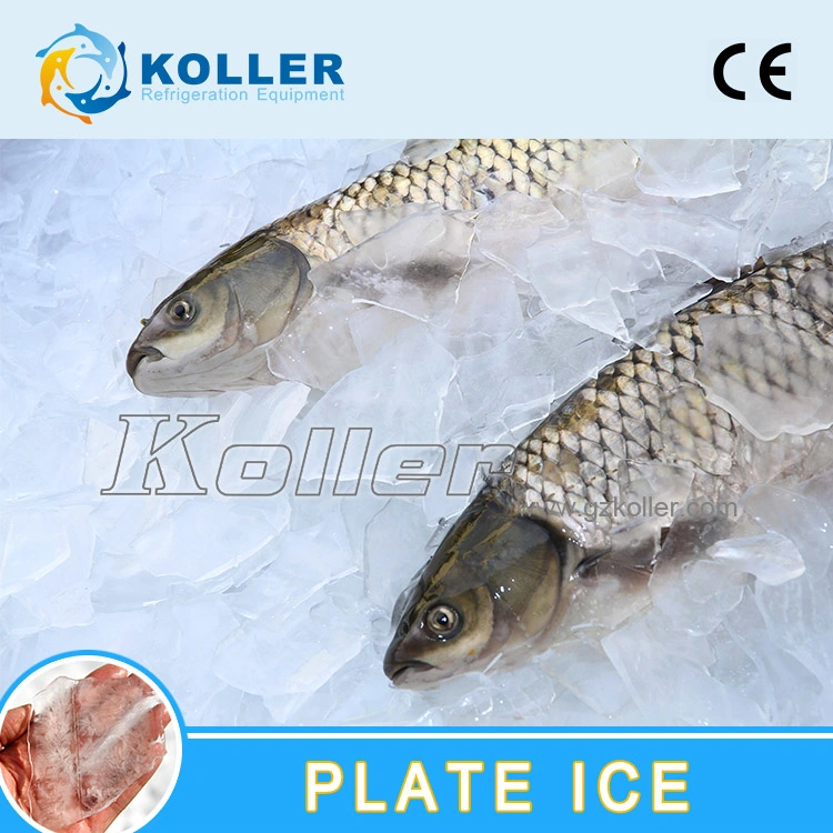 3tons Plate Ice Machine for Fishing (PM30)